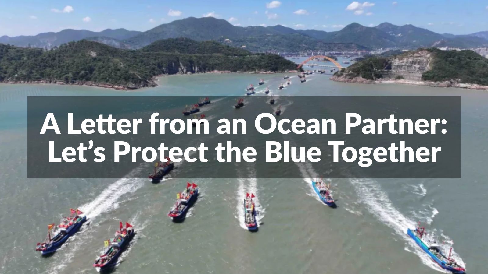 A Letter from an Ocean Partner: Let’s Protect the Blue Together cover image