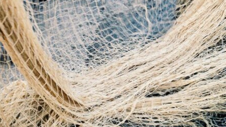 Rebirth of Fishing Nets: From Marine Threat to Engineering Material cover image